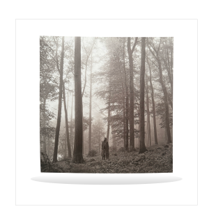 Taylor Swift - Folklore